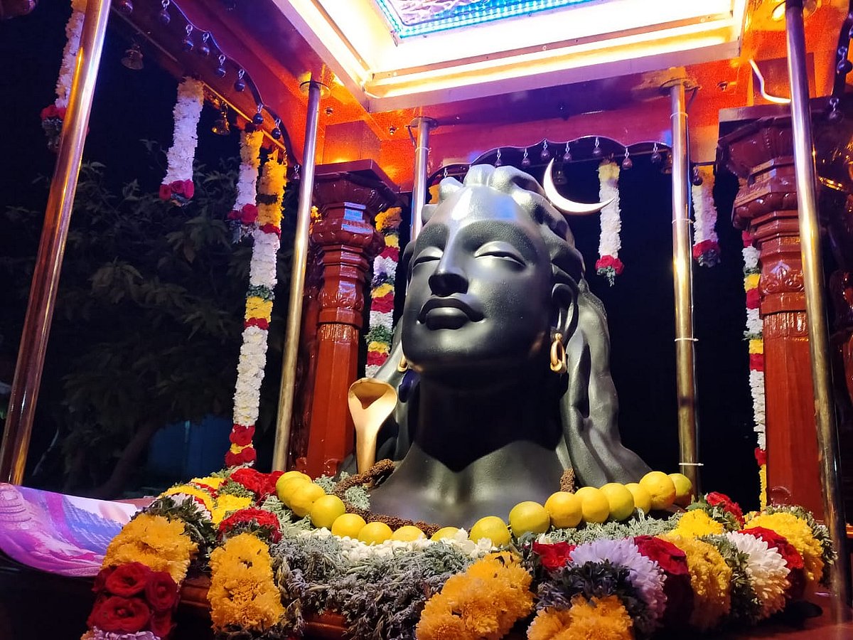 குமரி டு கோவை: ரத யாத்திரை செல்லும் சிவபக்தர்கள்; மகாசிவராத்திரியில் வெள்ளியங்கிரி தரிசனம்!