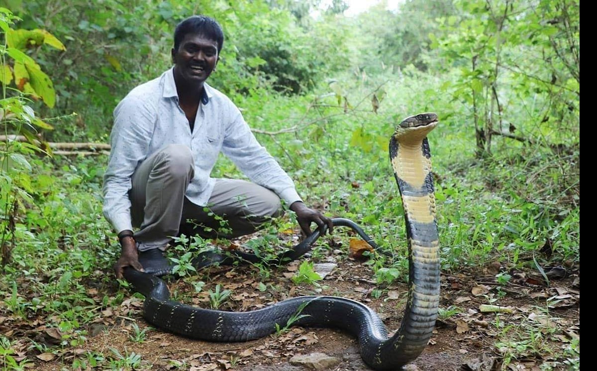 ``நான் சுரேஷ்... வாவா சுரேஷ்” - மருத்துவர்களிடம் தெளிவாக பேசிய பாம்பு பிடி மன்னன்!