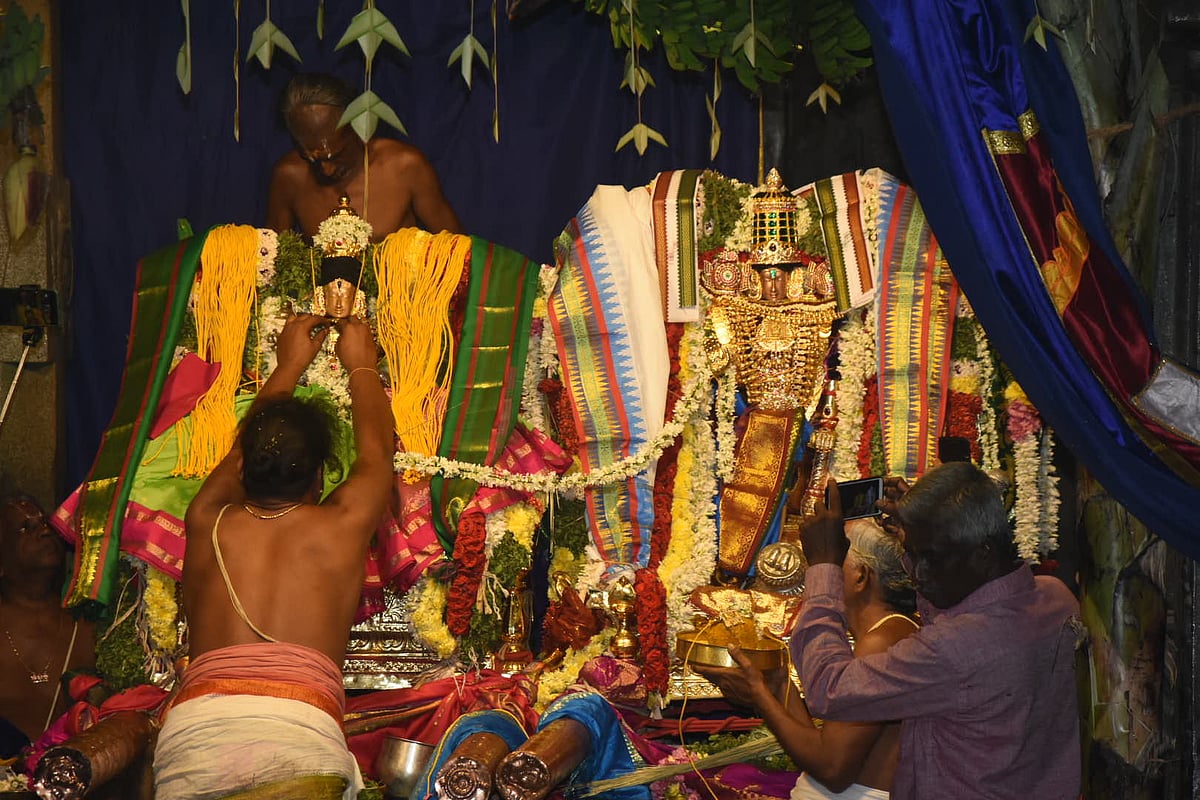 மயிலாடுதுறை : ஸ்ரீ பரிமள ரங்கநாதர் கோயிலில் திருக்கல்யாணம் - திரளான பக்தர்கள் தரிசனம் !