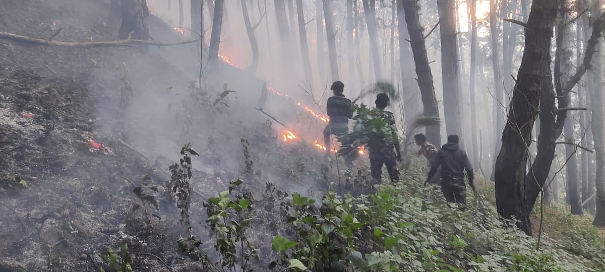கொடைக்கானல் காட்டுத்தீ பரவல்: கோடை வெப்பமா? மனிதர்களின் அத்துமீறலா? வனத்துறை விசாரணை