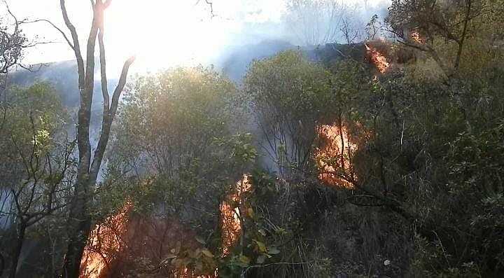 கொடைக்கானல் பெருமாள்மலையில் திடீர் தீ விபத்து! - தீயை அணைக்க போராட்டம்