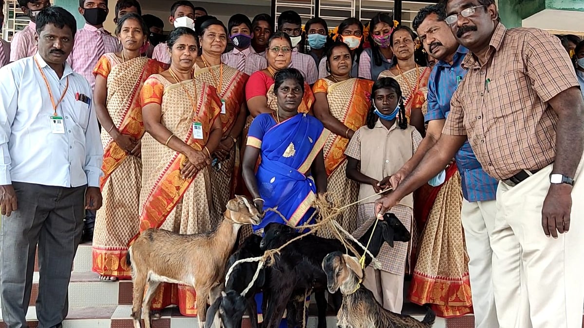 ஆசிரியர்கள்