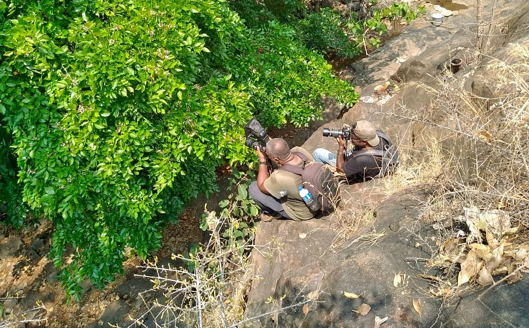 வனஉயிர் புகைப்படக்காரர்கள்