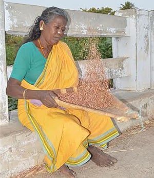 முறத்துல புடைக்க தெரிஞ்சாத்தான் பொண்ணு கட்டுவாங்க...!'' | Muram women  village