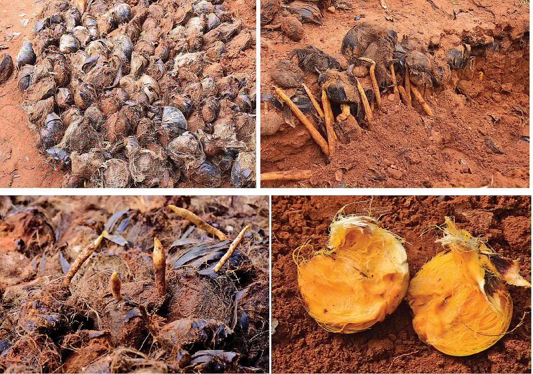 p58aa.jpg?auto=format,compress&w=1200