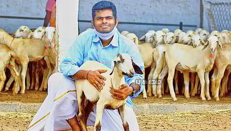 Pasumai Vikatan - 25 July 2020 - ஐ.பி.எஸ் வேலை வேண்டாம்; தற்சார்பு வாழ்க்கை  போதும்!| Karur youngster Annamalai took organic farming instead of his IPS  job - Vikatan