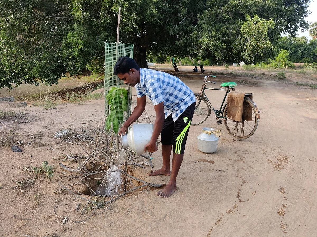 நடப்பட்ட 1000+ மரங்கள், தினமும் குடத்தில் தண்ணீர்; கிராமத்தின் பசுமைக்காக உழைக்கும் தனி ஒருவன்! 3 PicsArt 06 22 09 21 45 Tamil News Spot