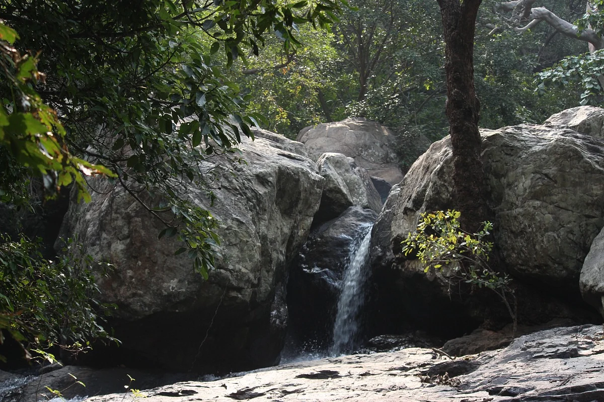 திருச்சி ஹேங்கவுட்: வனமெங்கும் மூலிகை வாசம், மனதிற்கும் உடலுக்கும் குளிர்ச்சி தரும் கோரையாறு அருவி! 7 dce6a973 1896 4c9a 91c8 c35c764ec410 Tamil News Spot