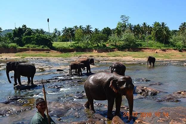 இலங்கை, கென்யா மற்றும் சைப்ரஸ் | ஒரு கிராமத்தானின் பயணக் கதை - 23 62 image061 Tamil News Spot