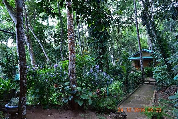 இலங்கை, கென்யா மற்றும் சைப்ரஸ் | ஒரு கிராமத்தானின் பயணக் கதை - 23 63 image062 Tamil News Spot