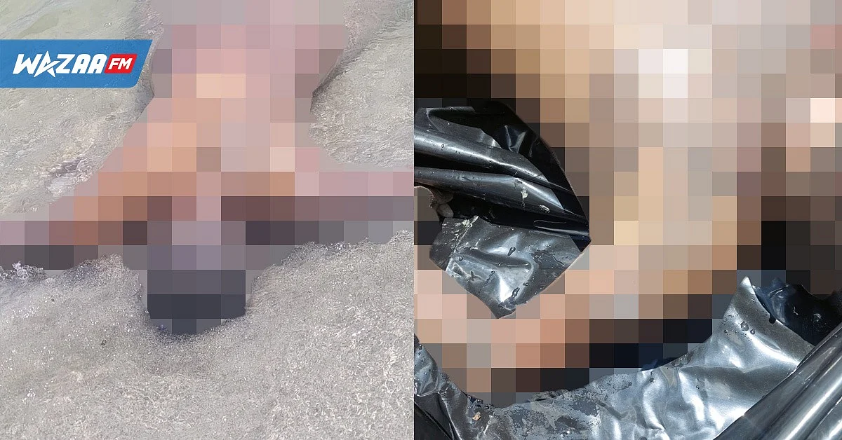 Pointe-aux-Sables : horrible découverte sur la plage publique