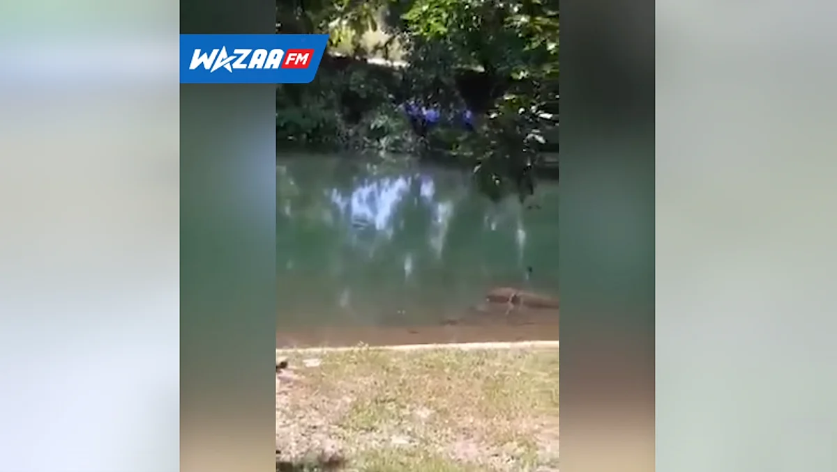 Le cadavre d’un homme a été découvert dans une rivière à Belle-Rose