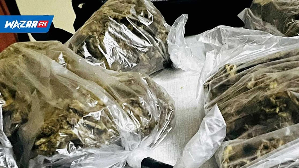 À Coromandel : Il se balade avec du cannabis valant Rs 240 000