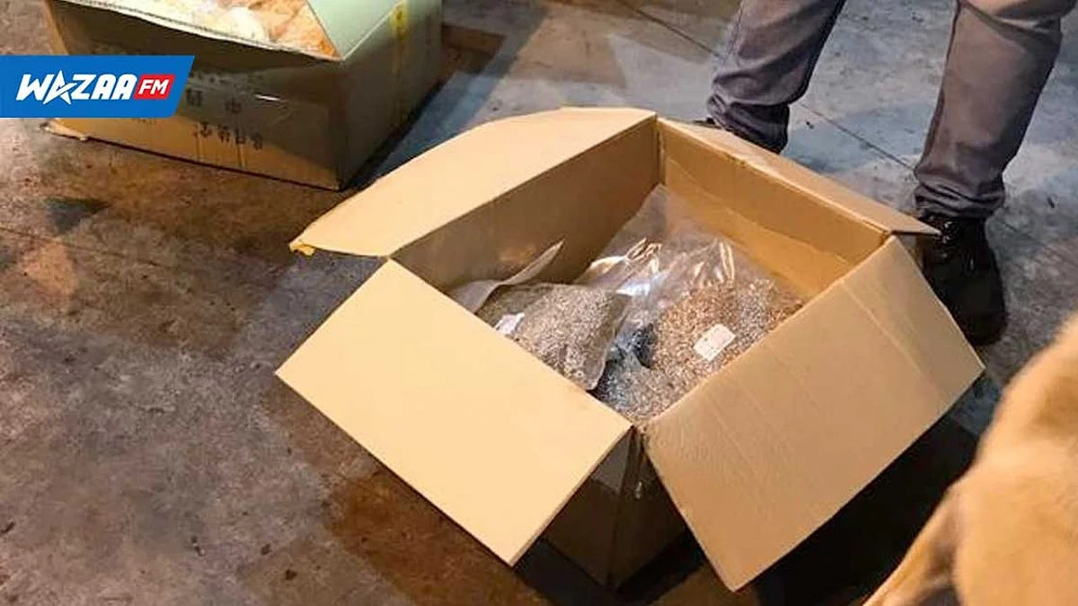 Cannabis médical : RS 50 millions de produits dont des graines et des infusions saisies au port