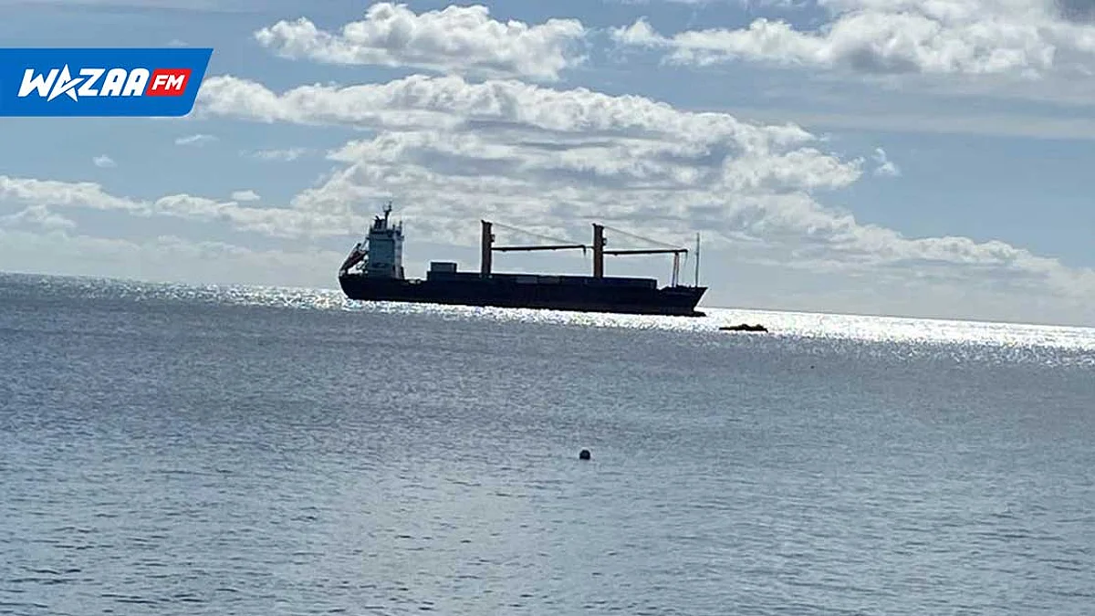 Importation de bétails de Rodrigues : une cargaison attendue à Maurice demain