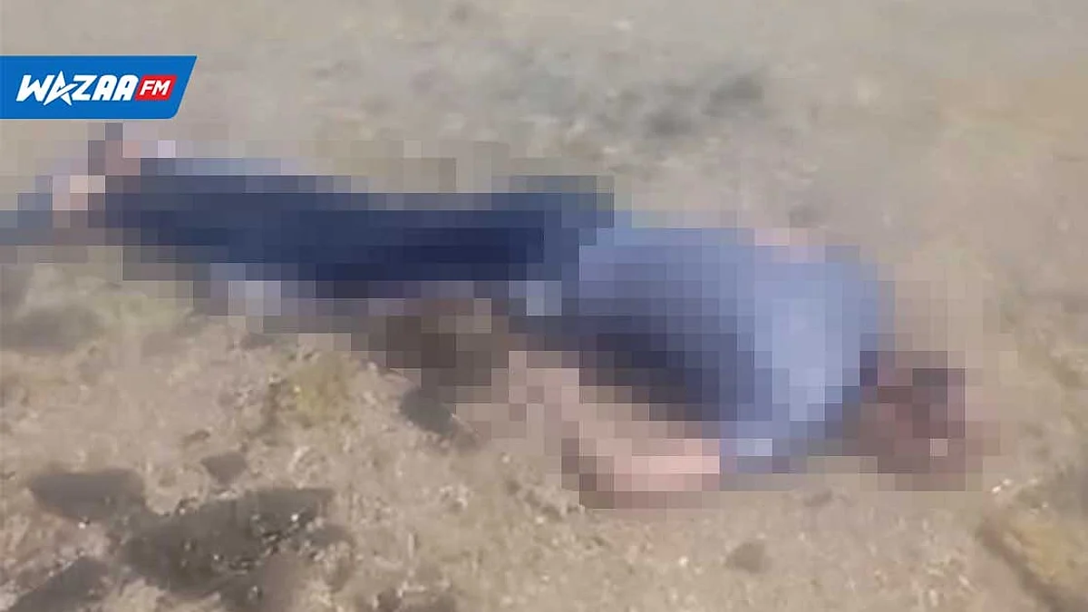 Noyade à Bain des Dames : un homme portant tous ses habits retrouvés sur le rivage