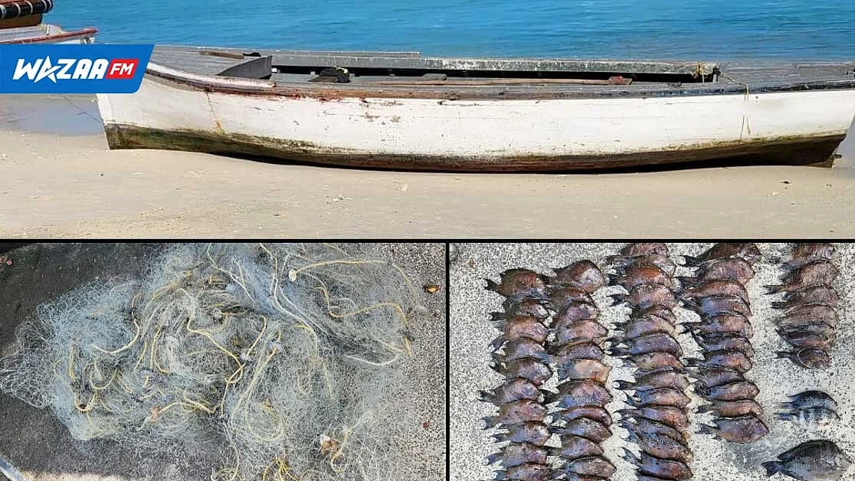 Pêche illégal : un suspect arrêté et 393 mètres de filet saisis