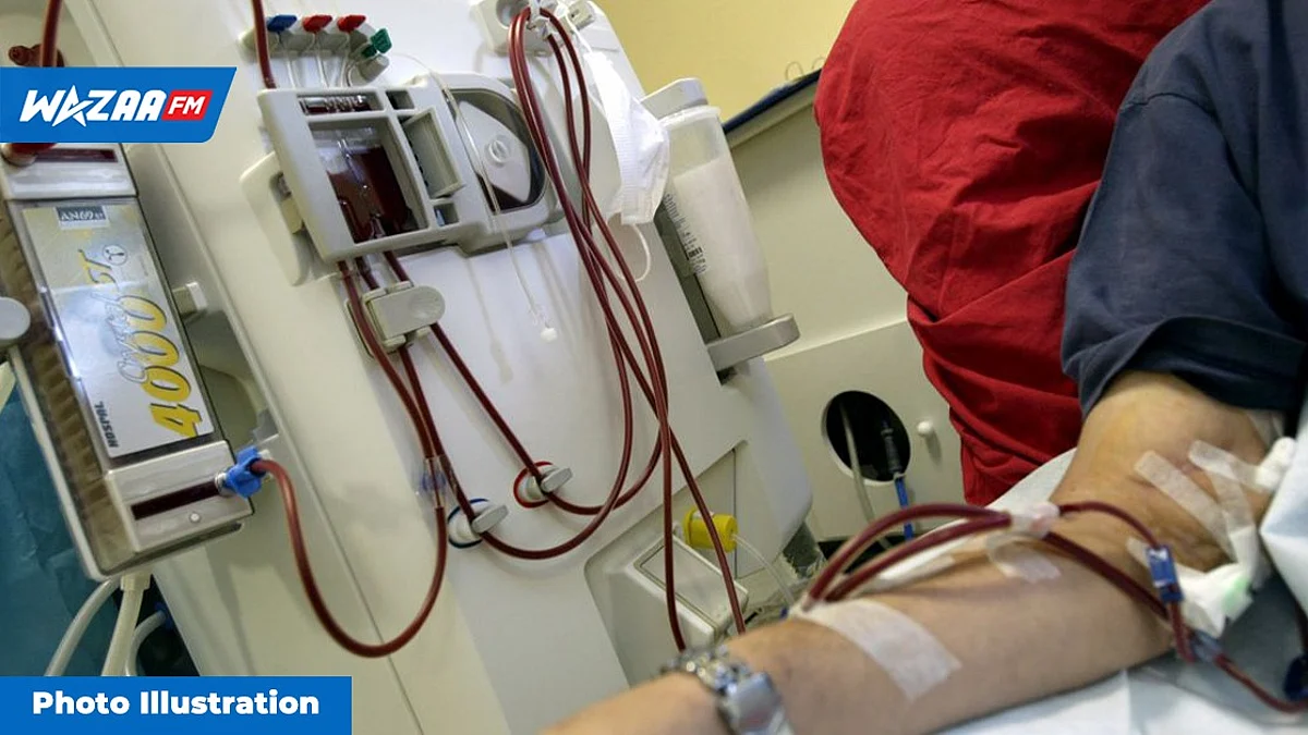 Fact Finding Committee sur les patients dialysés décédés : le président est rémunéré Rs 4 650 par séance
