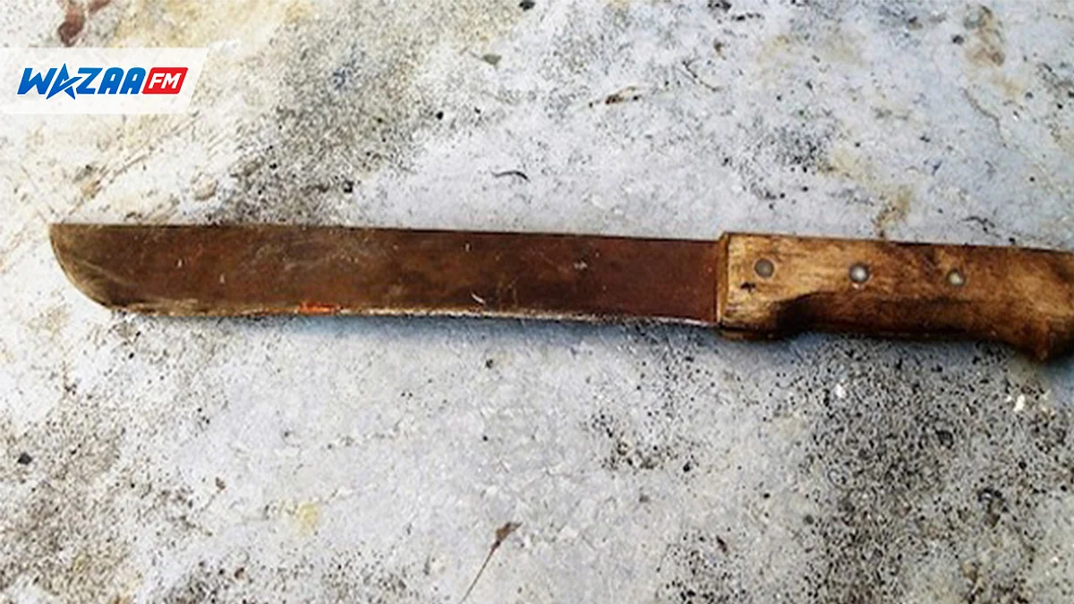 Bel-Ombre : agression au sabre dans un chassé…