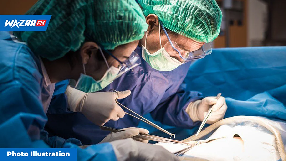 Human Tissue (Removal, Preservation and Transplant) Regulations 2022: le ministère travaille sur différents règlements