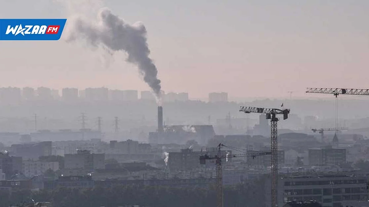 Facilité 2050: vers la mise en œuvre de stratégies de développement à faible émission de gaz à effet de serre