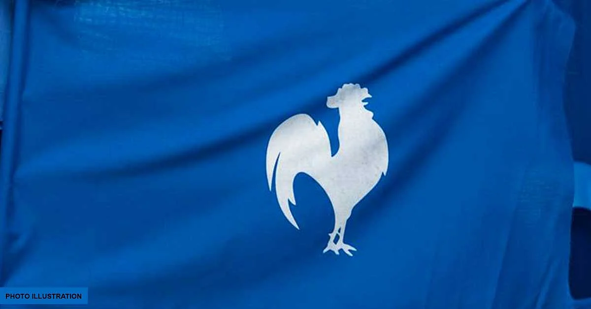 Politique : un ancien CEO du PMSD quitte la bassecour bleue