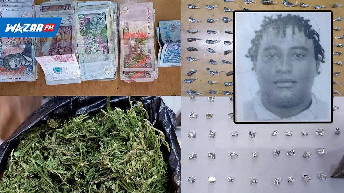Rivière-Noire : Grosse saisie de drogue chez « Ti papa »