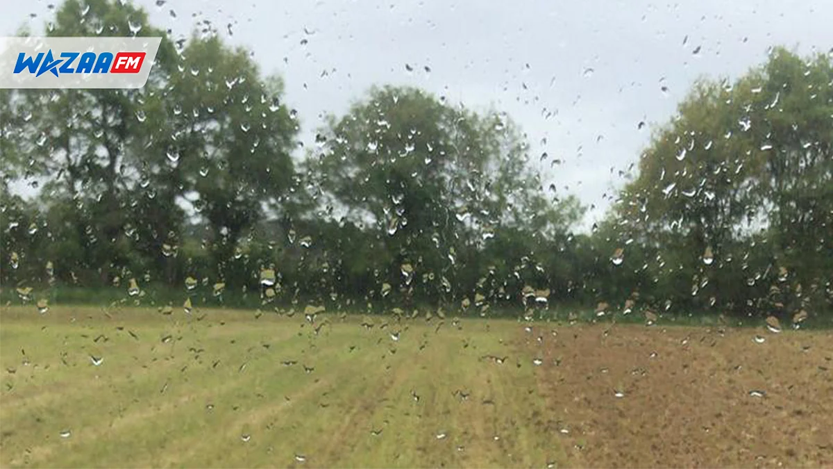 MÉTÉO : nuageux à parfois pluvieux