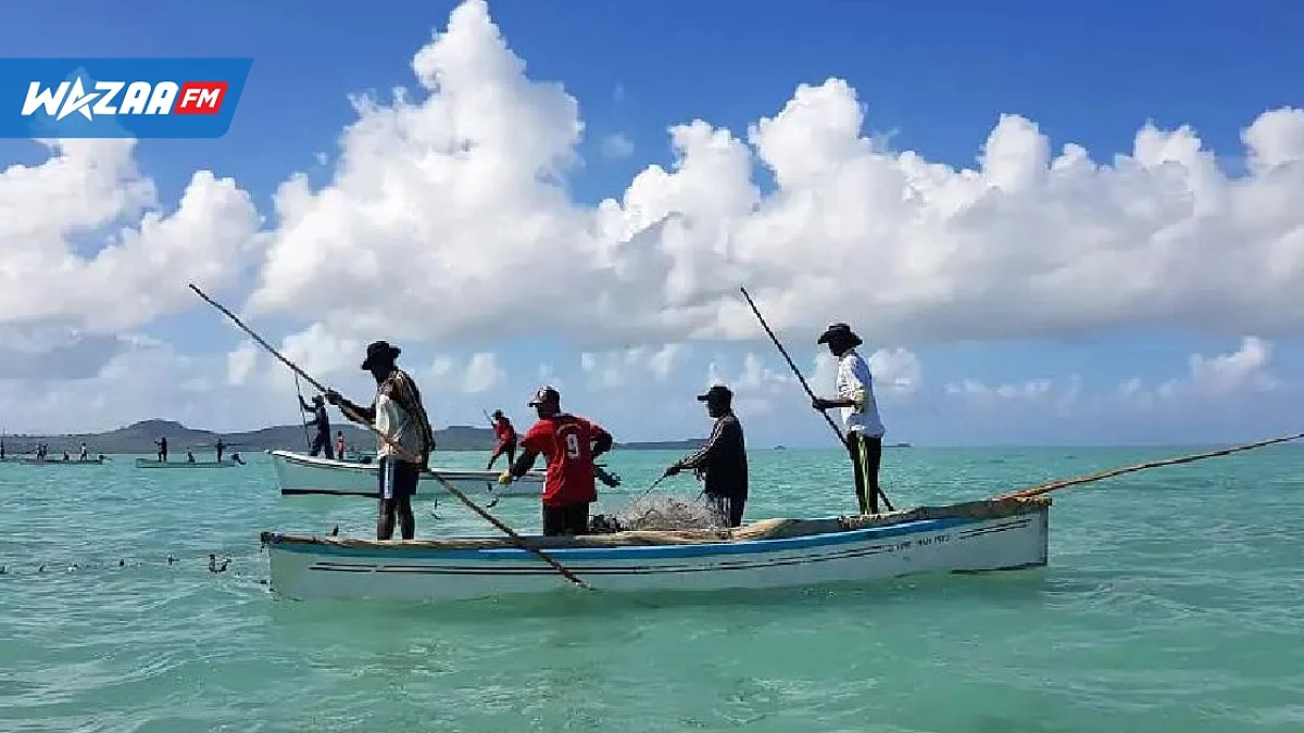 Budget 2022-2023 : l’industrie de la pêche, mieux optimiser nos ressources