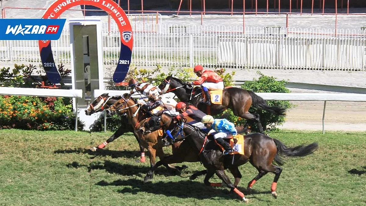 Turf : début de la saison hippique 2022 ce dimanche 5 juin