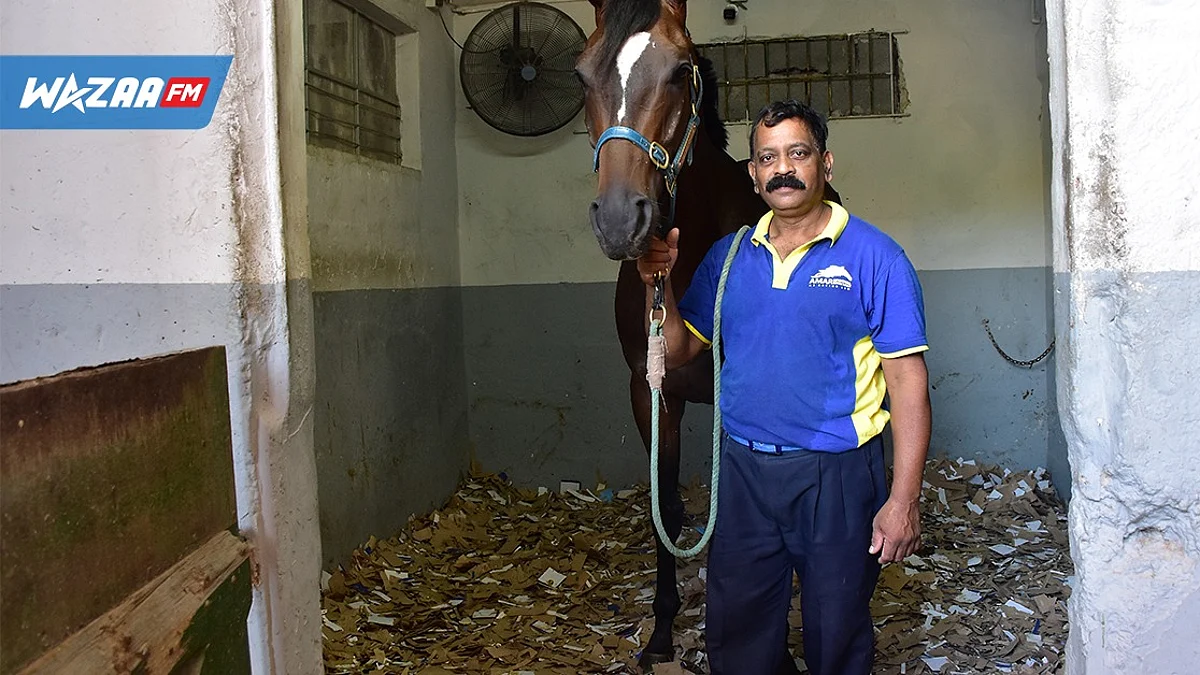 Victoire de Cloud Seeder et Colour my Fate : Joie et regrets pour les palefreniers