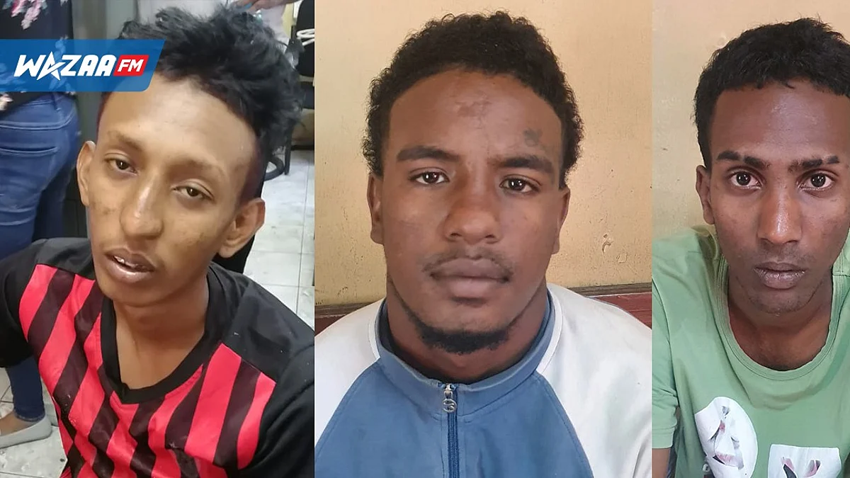 Un gang démantelé : C’est dans les pires moments que l’on reconnaît ses vrais amis…