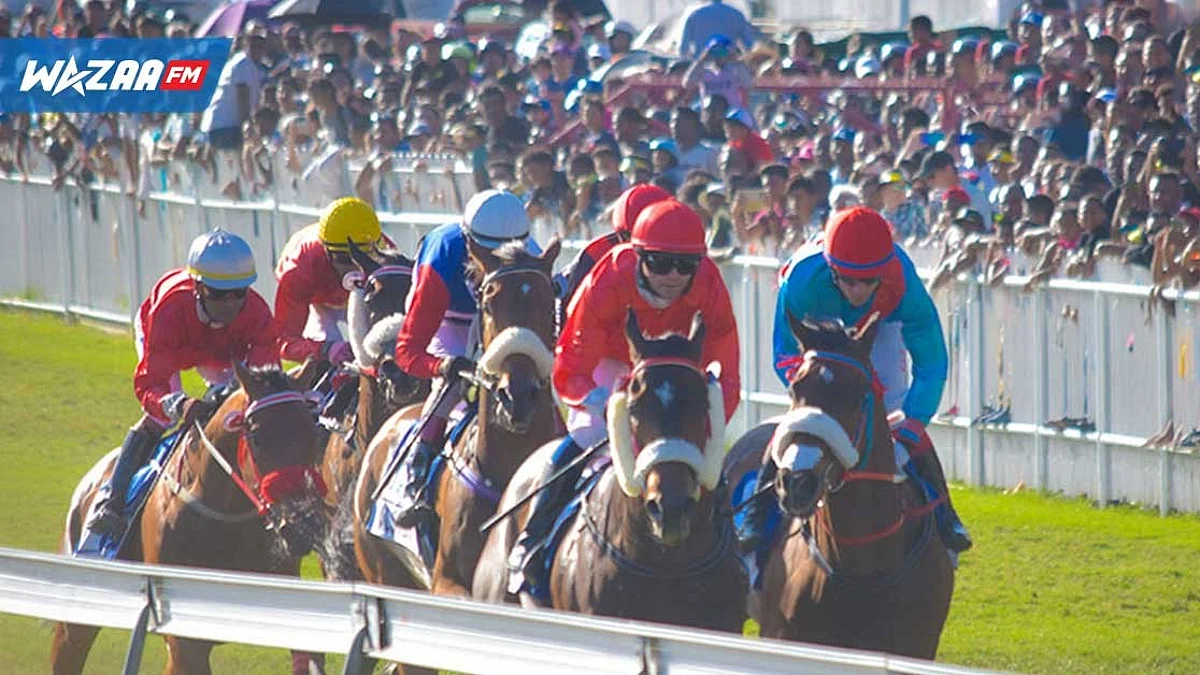 Hippisme : Entrée de la 7e et 8e Journées des courses