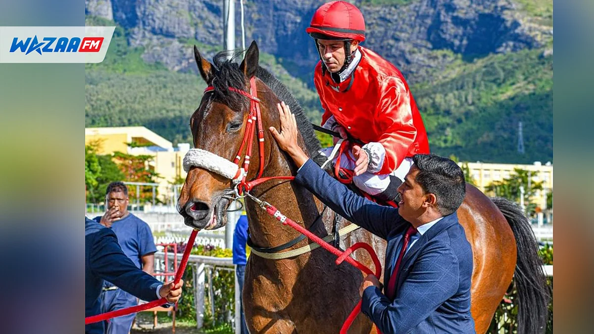 Hippisme : Mise à jour sur les enquêtes