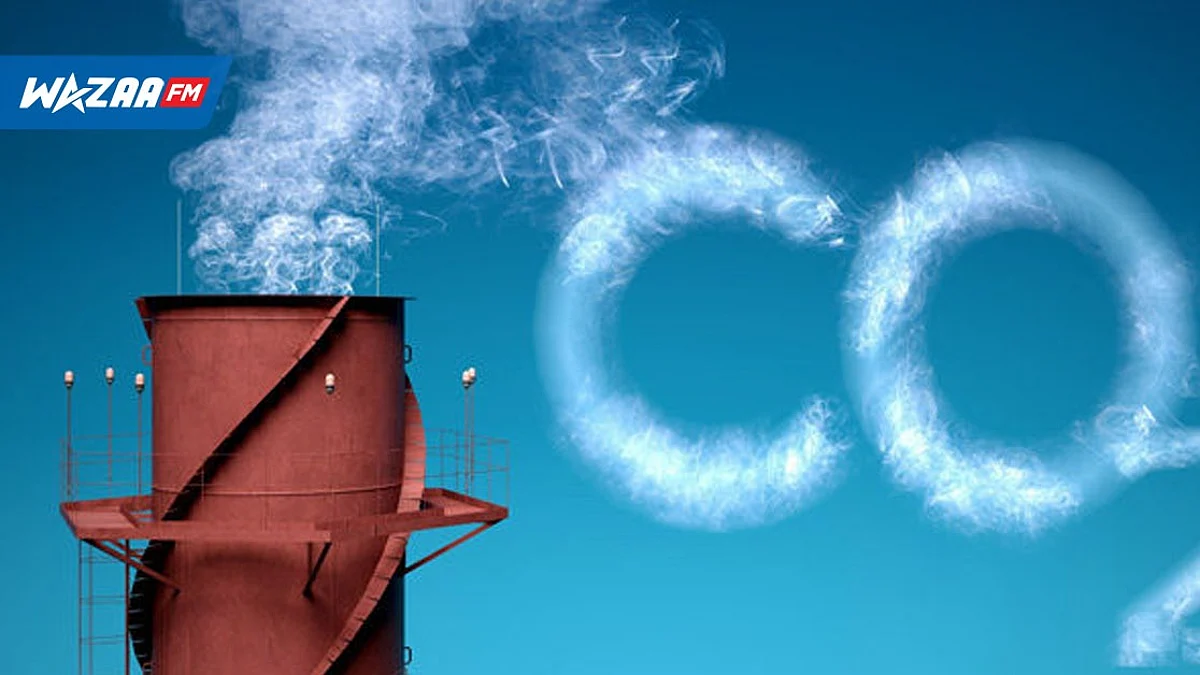Émission de carbone : signature d’accord entre le ministère de l’Environnement et des Nations Unies