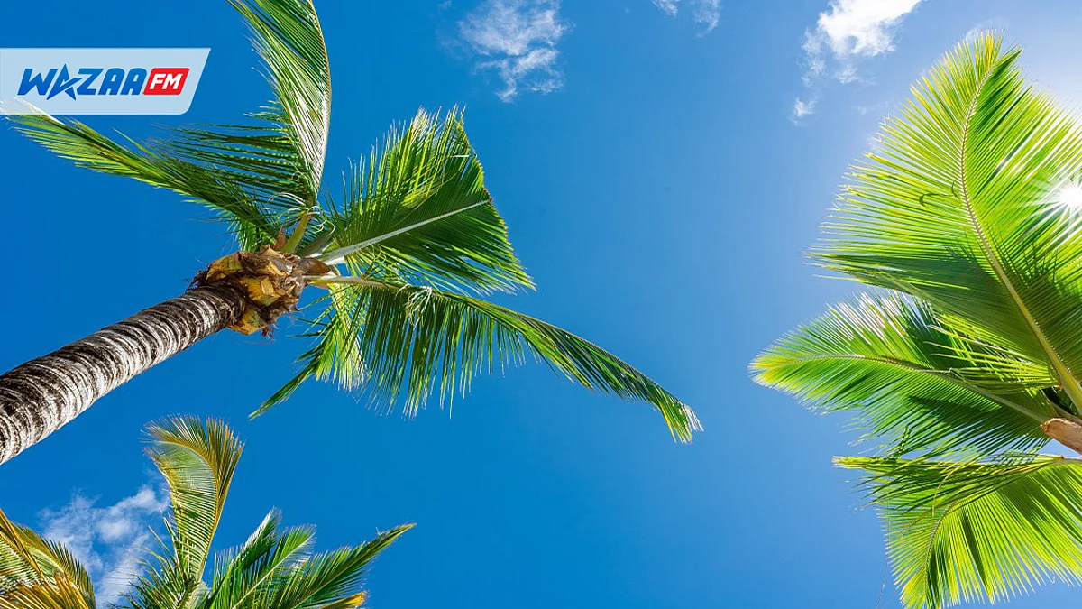Du beau temps en perspective