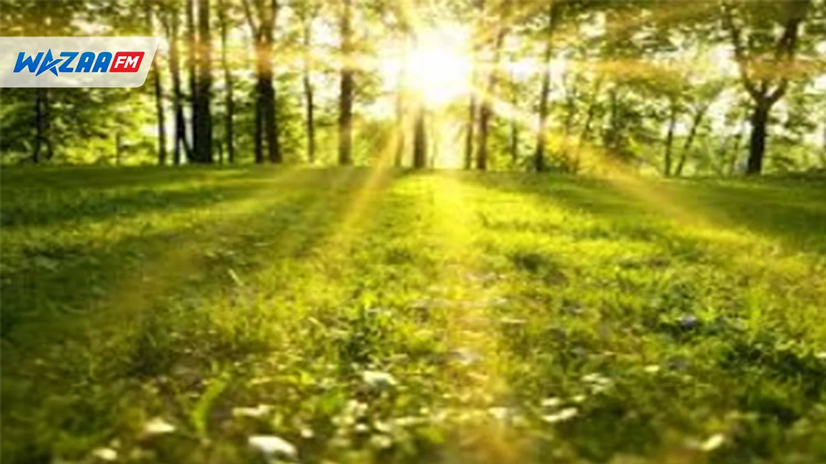 MÉTÉO : le soleil encore au rendez-vous