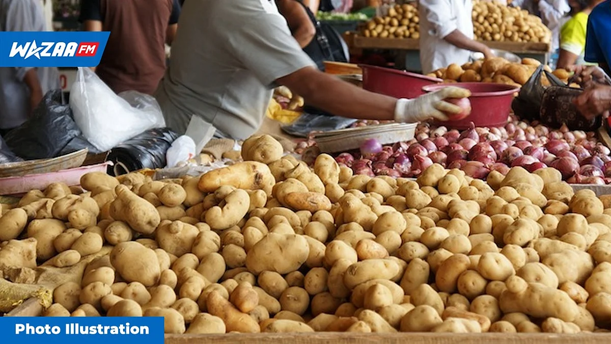Vol de pommes de terre au marché central : repéré, le voleur tente de taillader le propriétaire de l’étal