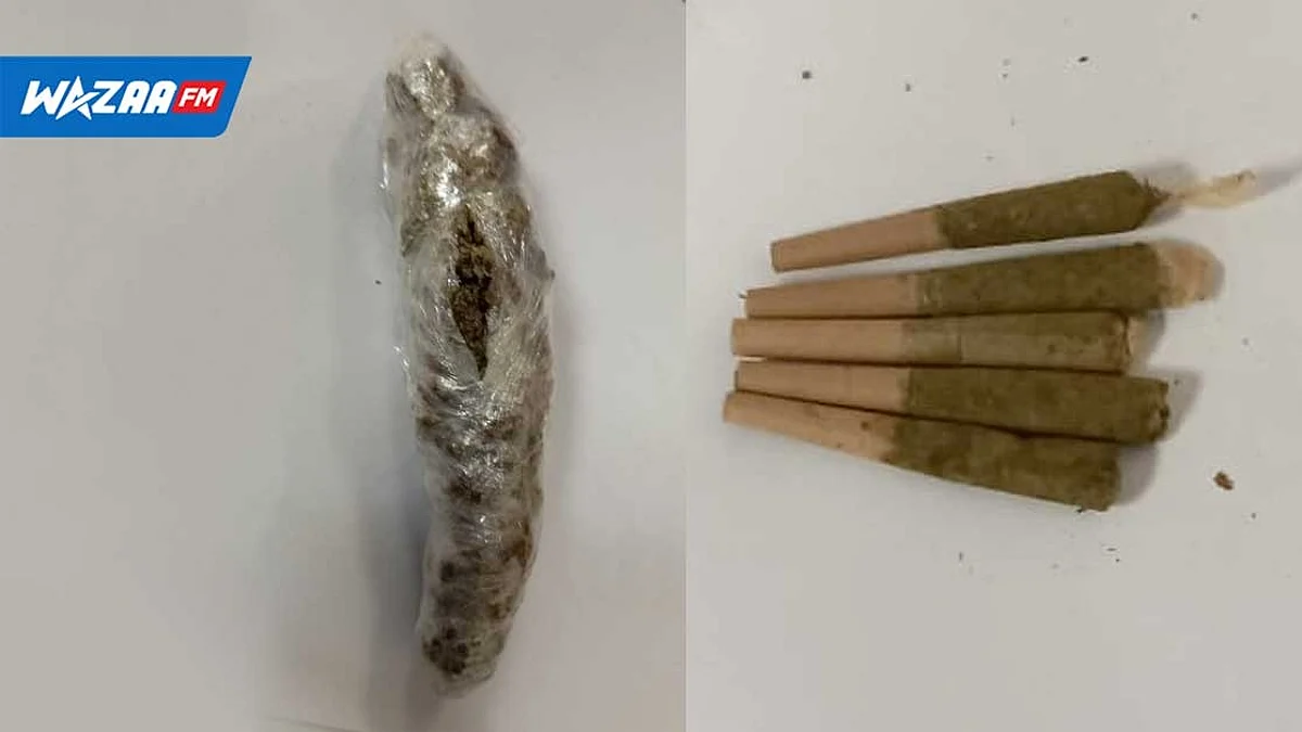 Possession de cannabis : Un passager arrêté à sa descente d’avion