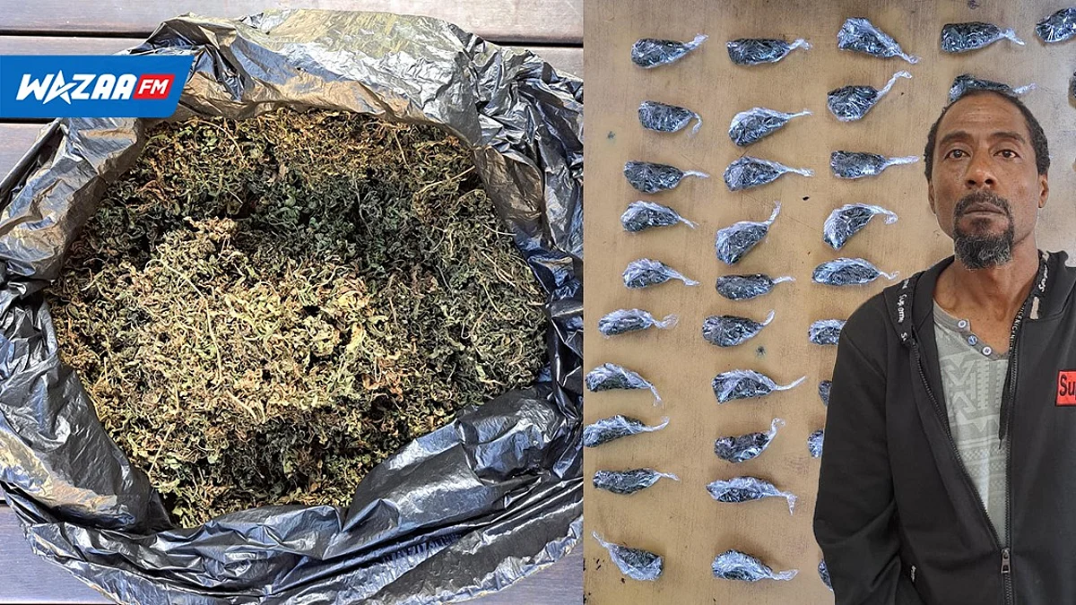 Trafic de cannabis : Le jardinier ne s’occupait pas seulement de l’entretien de la Villa