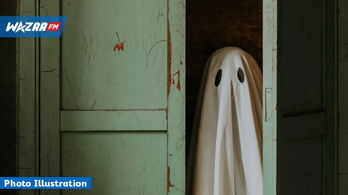 Cambriolage ou presque à Plaine Lauzun : il s’inspire de Casper le fantôme pour intimider sa tante