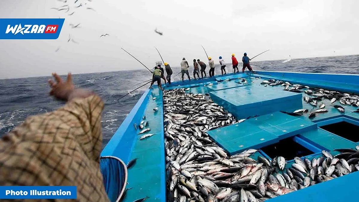 Zéro tolérance pour la pêche illégale à Maurice