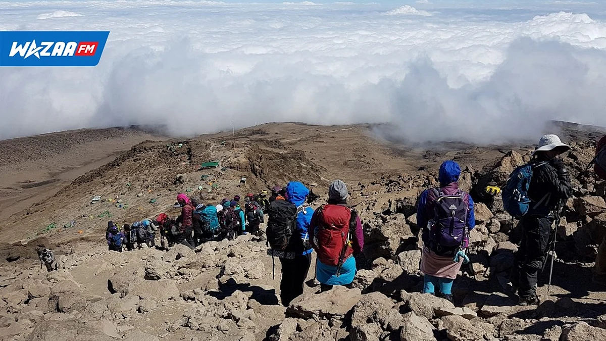 Afrique : Les trekkeurs profitent désormais d'un accès internet au sommet du Kilimandjaro.