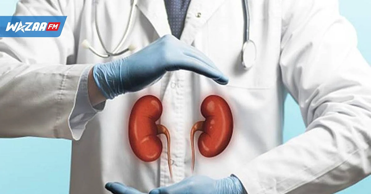 Maladies rénales : le ministère de la Santé instaure le «Renal Registry»