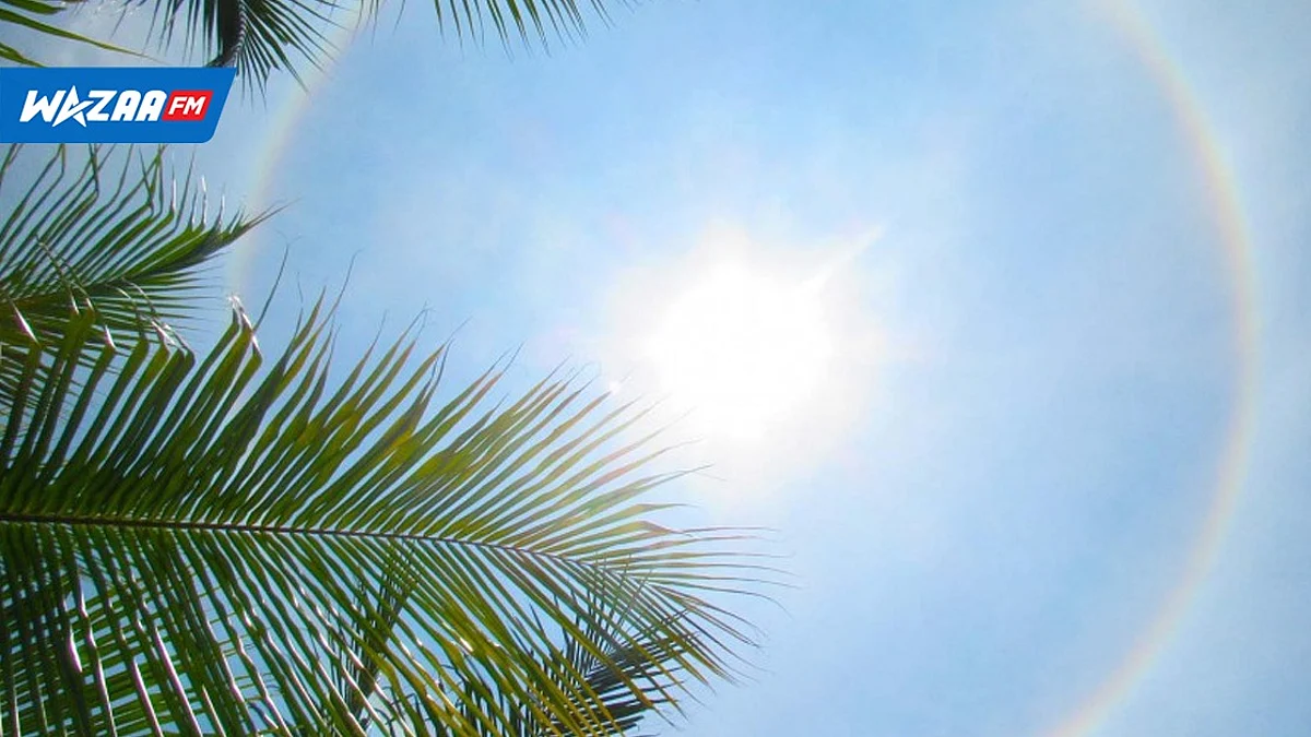 Changement climatique : les conséquences de son impact dévastateur