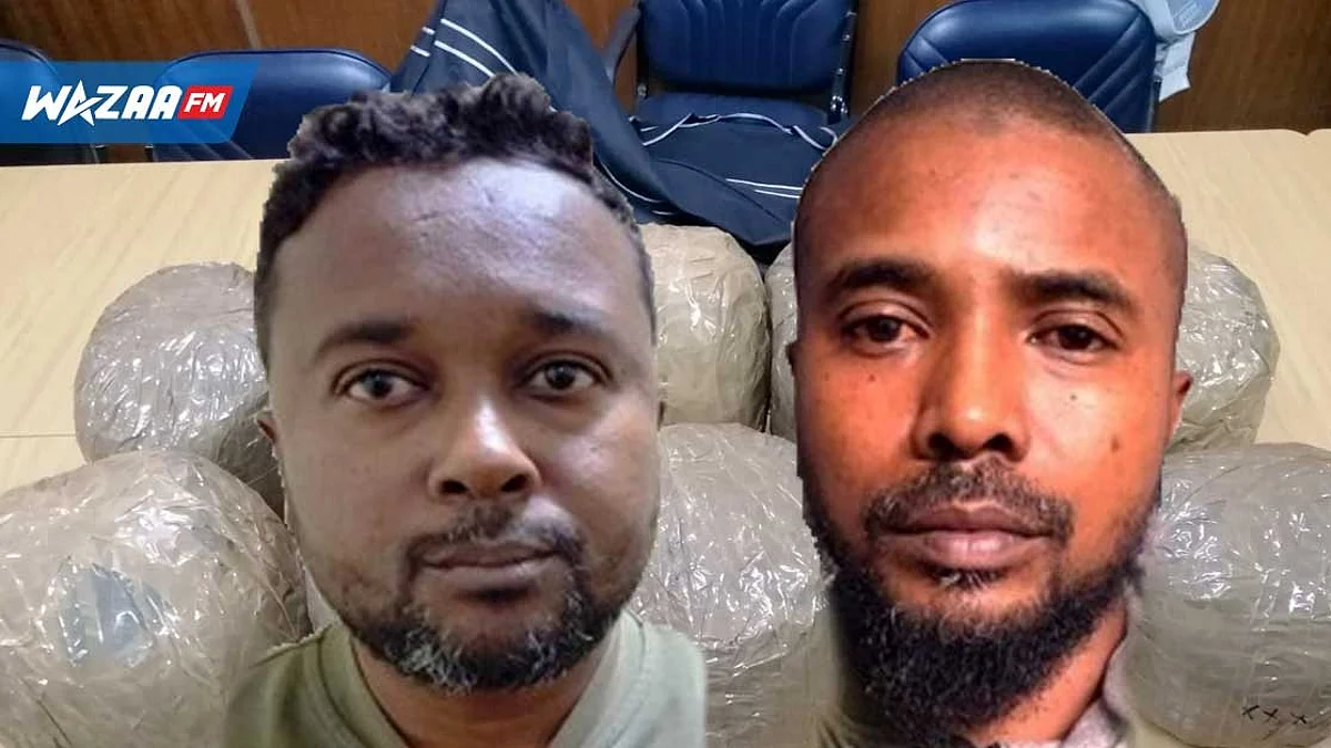 Axe Maurice-Réunion : 12,5 kg de cannabis valant Rs 15 M saisis par l’ADSU