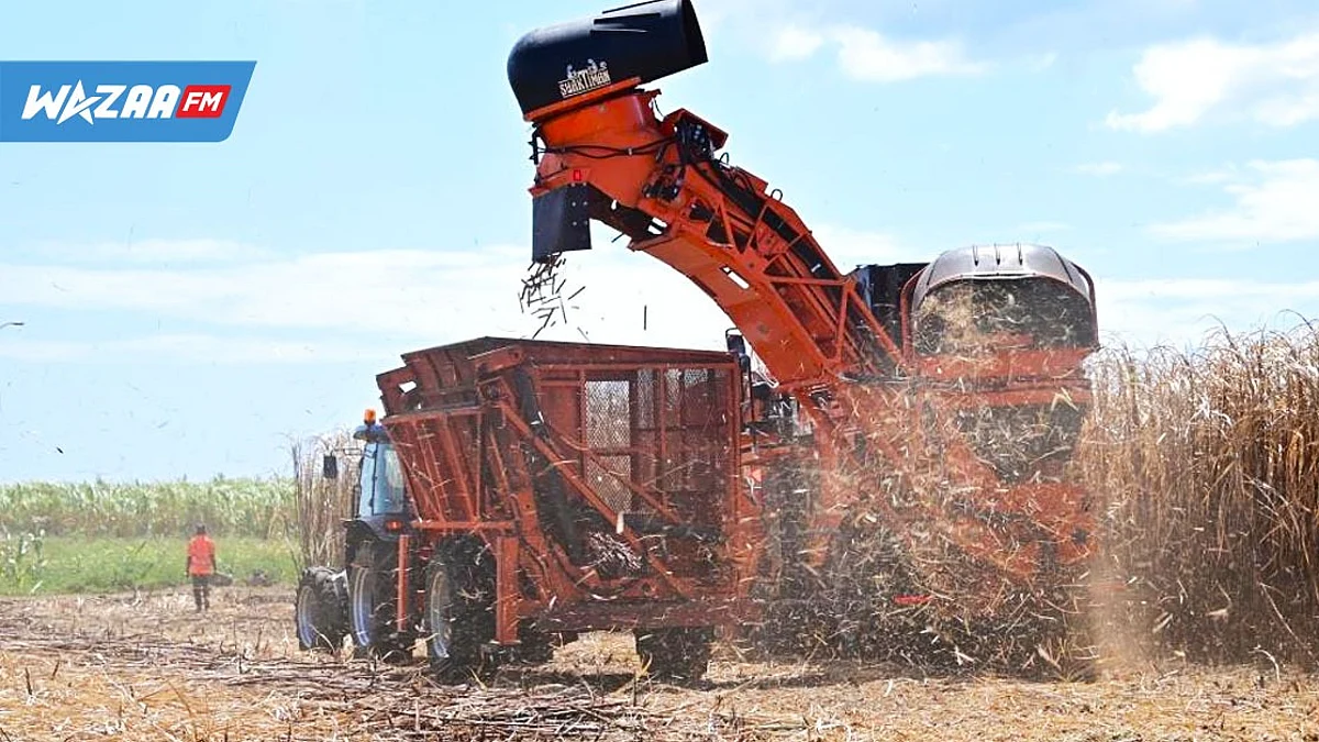 Industrie cannière : acquisition d’une nouvelle moissonneuse par le ministère de l’Agro-Industrie