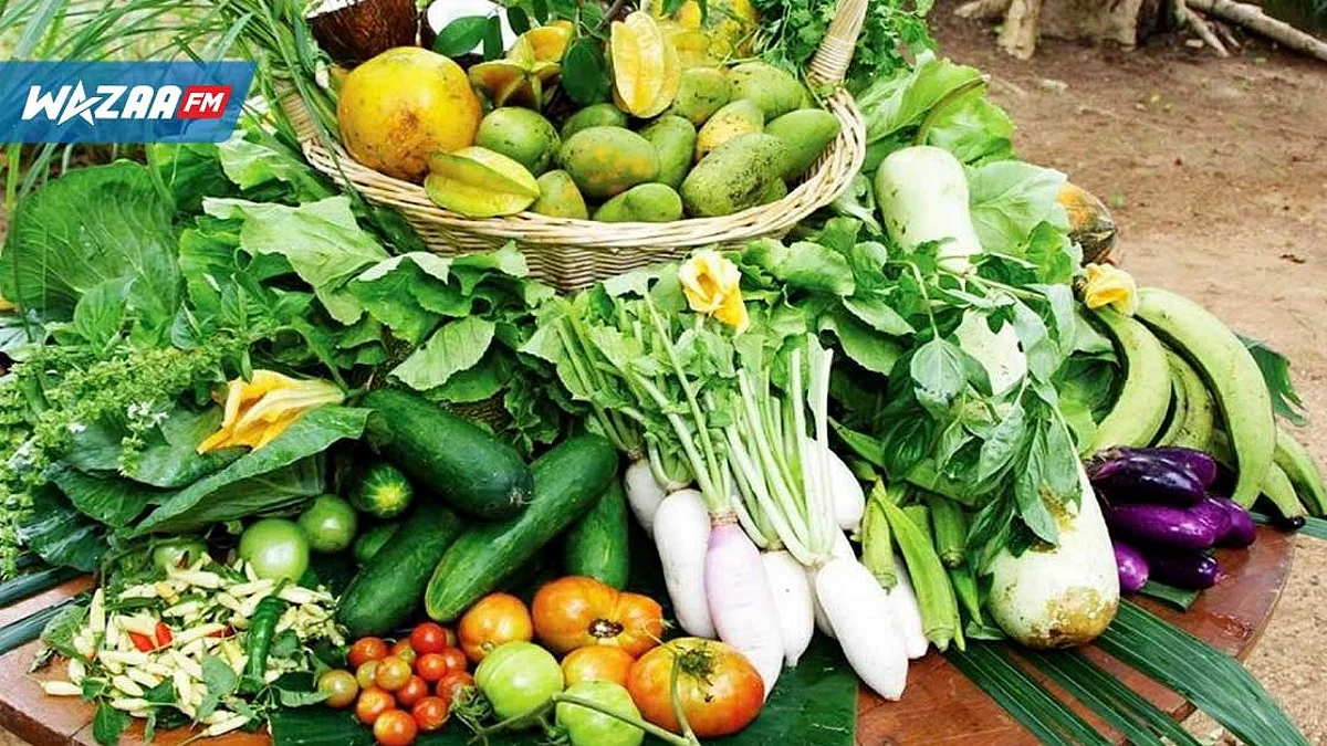 Légumes : les consommateurs débourseront plus à partir de la mi-octobre