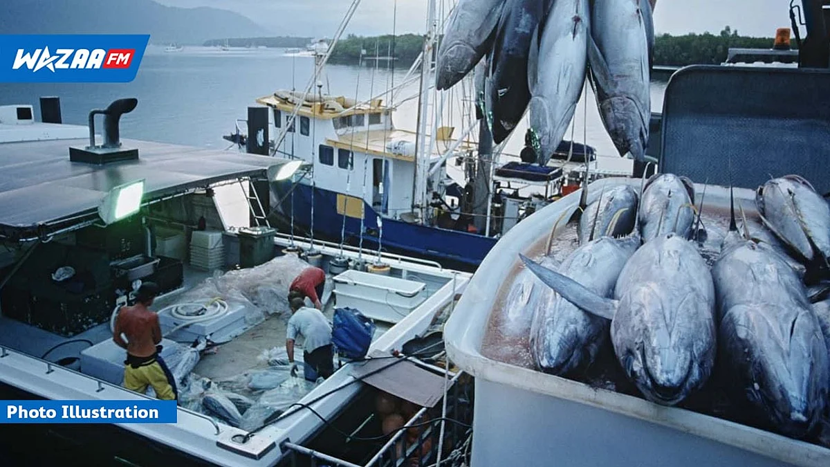 Union européenne : extension fructueuse pour le protocole de pêche pour Maurice