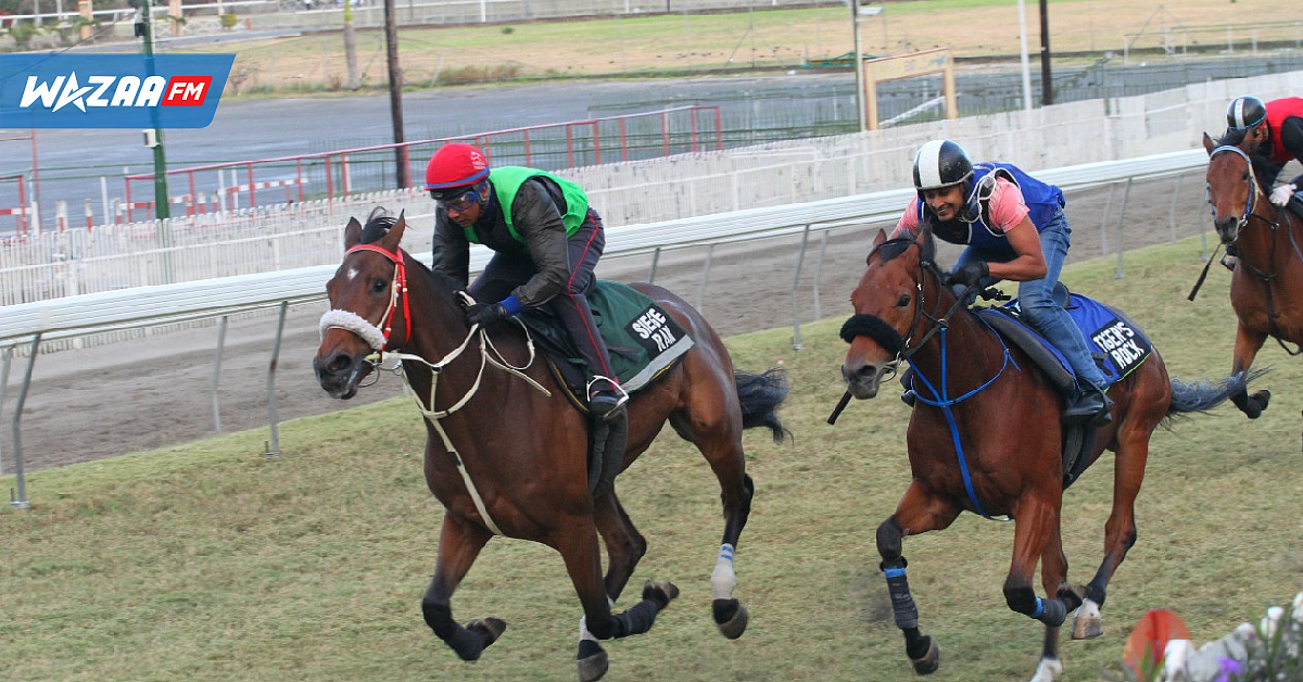 Hippisme - Training : une séance très animée, ce mardi 6 septembre